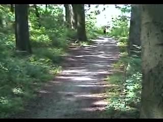 Jogging
